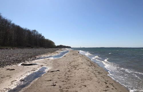 Reethus Linda - Foto 43