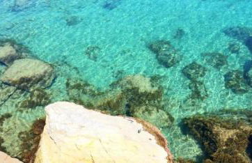 Casa Cornice - Photo 21