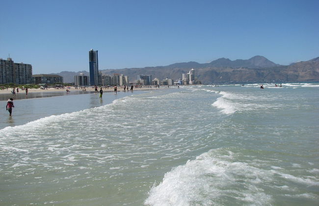 Theebos Anneline's Self Catering Apartments - Photo 23