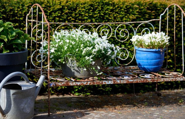 Authentic Holiday Home in Baarlo With Private Terrace - Photo 21