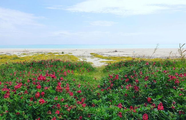 Holiday Home Near Pizzo Beach - Foto 34