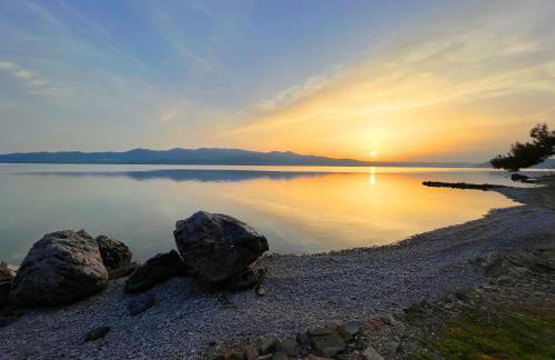 Traditional Architecture Seafront Stone House in 25000sqm Olive Grove - C - Photo 8