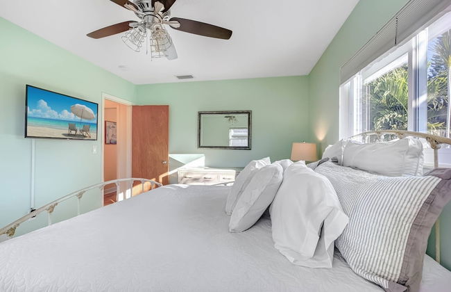 Happy Gecko - Foto 31