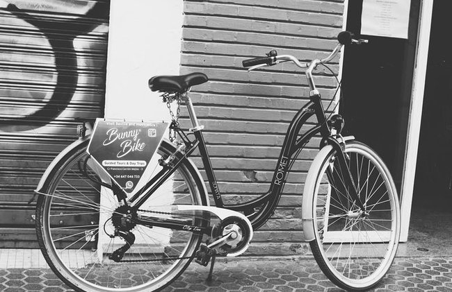 Noleggio Bicicletta da passeggio per 1 Giorno nella città di Siviglia - Foto 7