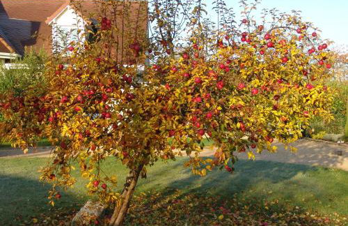 Millygite Cosy Loft - Foto 20