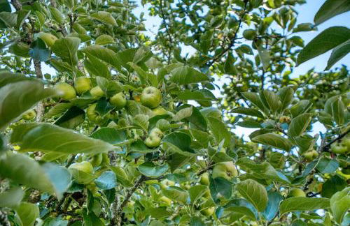 L'Hirondelle - Perigord Noir - Foto 21