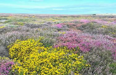 Sea View Fields Trearddur - Foto 8