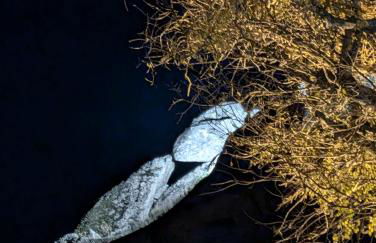 Casa das 5 Cruzes dentro da muralha - Foto 79