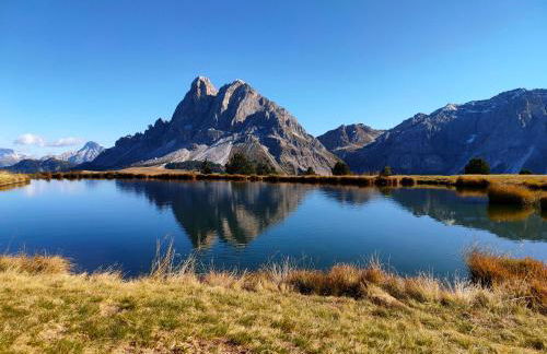 Chi Plans - Photo 41