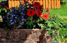 Domek Kojsówka - Foto 58