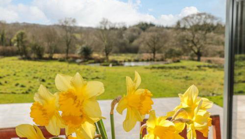 Springfield Farm - Foto 4