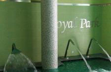 Royal Park Green Spa - Foto 45