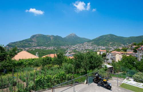 Rosa Maison - Foto 38