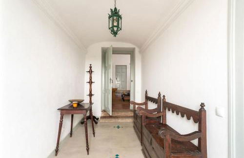 Quinta de Cima,No campo é Assim - Foto 19