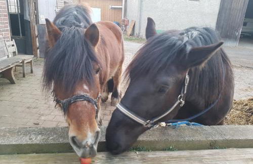 Nuibauers-Hof - Foto 13