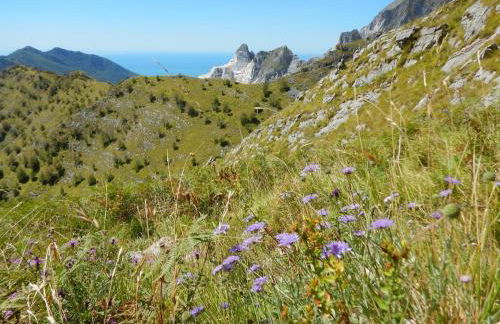 In the heart of the Apuan Alps with terrace - Foto 26