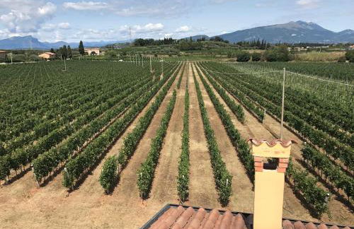 La Grotta - Photo 47