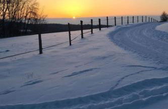 Holiday Home in Willersdorf With Outdoor Sauna - Foto 90