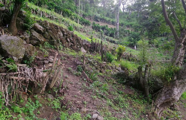 Pink house - Foto 18