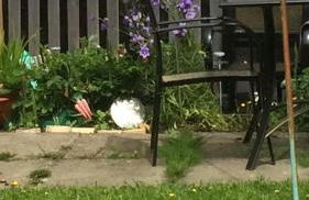 Hardgate Gardens - Foto 21