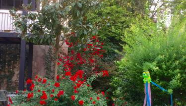 Villa Schiller, 2 studios côté jardin - quartier Orangerie - Foto 4, Garden view