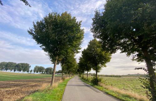 K 357 - Low budget Hotel in Ratekau bei Lübeck - Foto 56