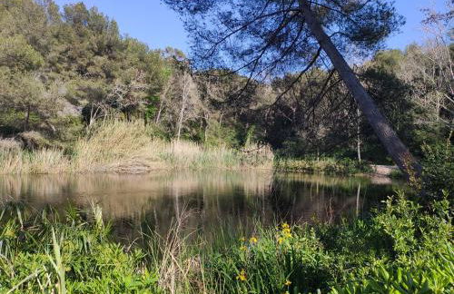 Domaine de La Coudouliere, Vue Mer, Plage, Piscine et Parc - Foto 60