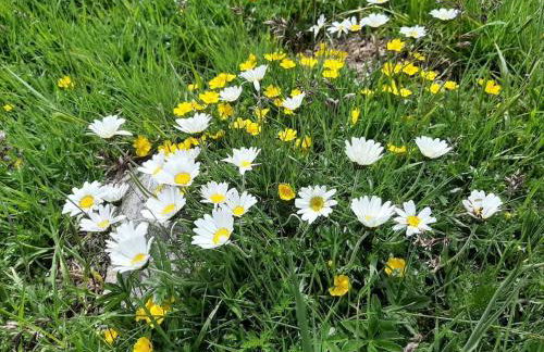 Attico da Jenny - Foto 13