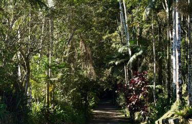 Chalé Gaia - Hospedagem Itatiaia - Foto 73