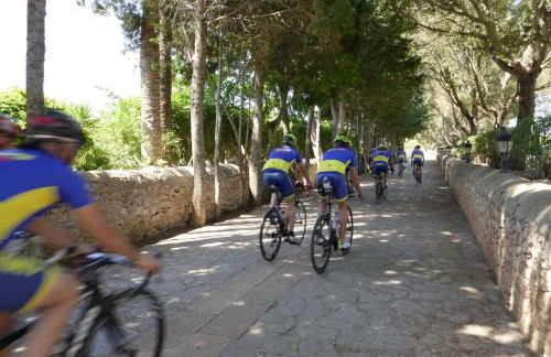 Sa Bassa Rotja Ecoturisme - Foto 12