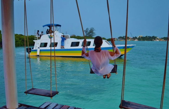 The Lily Pad II - Foto 18