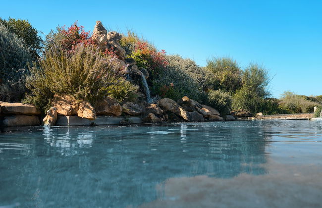 Tenute Delogu - Foto 27