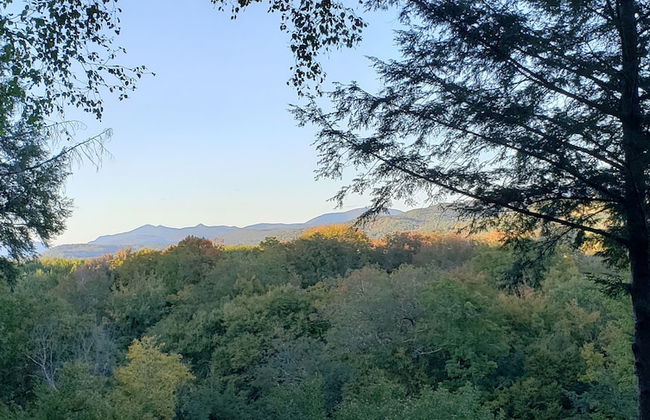 Black Bear Lodge - Foto 54