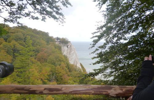 Haus Wildrose - Foto 32