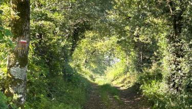 Aux portes du Sidobre - Foto 2