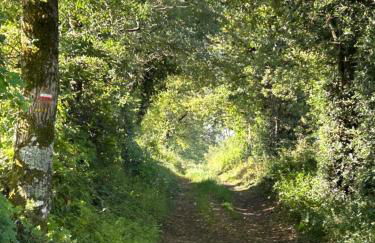 Aux portes du Sidobre - Foto 2