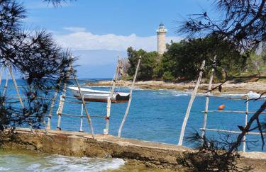 Lavanda Samarin - Foto 12