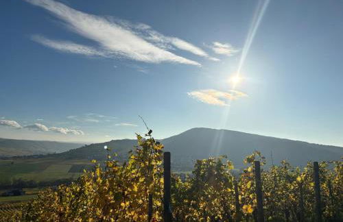 FeWo Koch48 - Foto 15