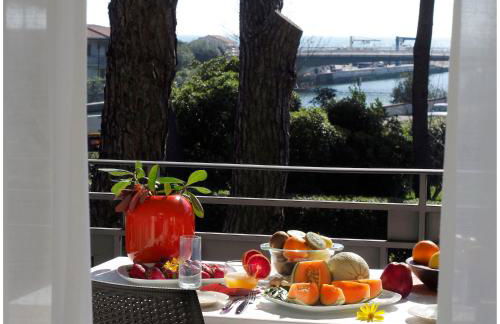 Michelangelo rta - Foto 57