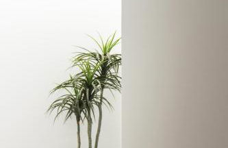 Nomad Houses - Ap Tereno - Foto 29