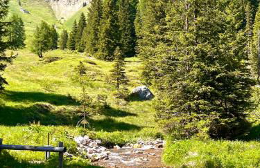 Piccolo Nido Falcade - Foto 35