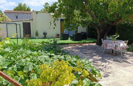 Studio climatisé-terrasse-Netflix-jardin à 10 min de Cassis - Foto 2