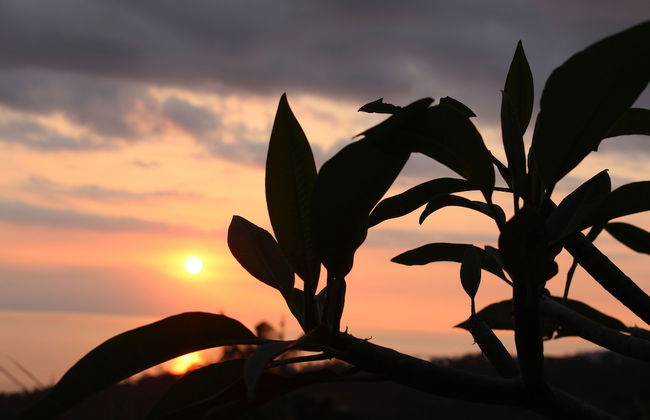 Imaj Private Villas - Foto 15