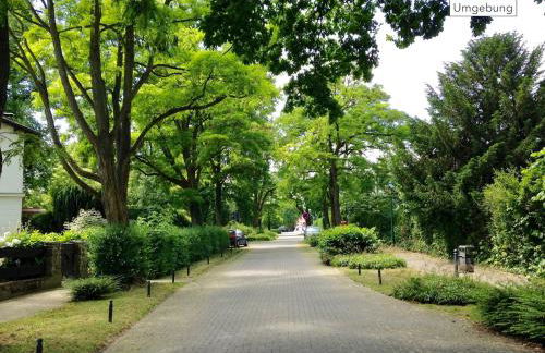 1-Raum-Wohnung mit Balkon, am Kurpark am Gradierwerk - Foto 16