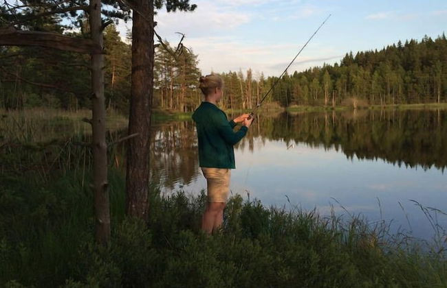 Beautiful holiday house Blomkulla - Foto 8