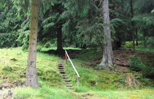 Holiday Home in Thuringian Forest Retreat - Foto 80