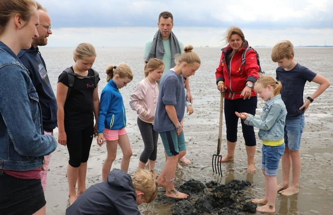 Room With Designed Party Areas, Wangerland - Foto 30