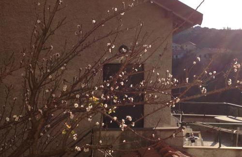 Agriturismo OlivArancio - Foto 54