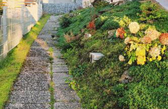 Stilvolles und Kunstvolles Retreat Apartment mit 400qm Garten & Massage und Ayurveda - Foto 42