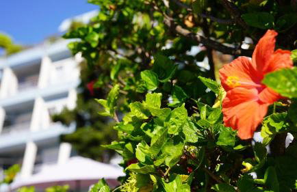 Coral La Quinta Park Suites - Photo 28